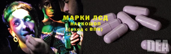 гидра Арсеньев