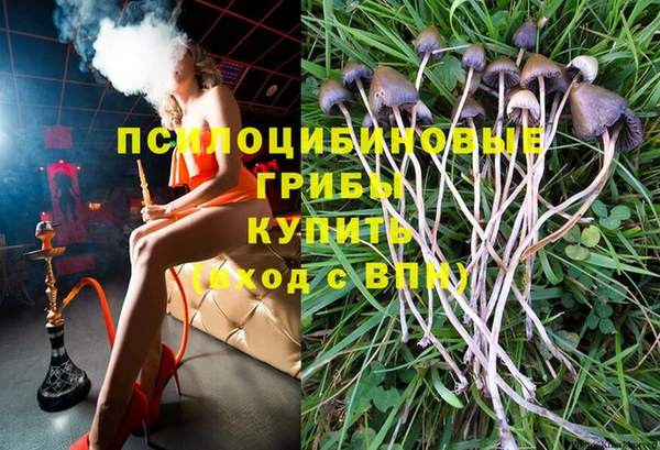 дживик Алексин
