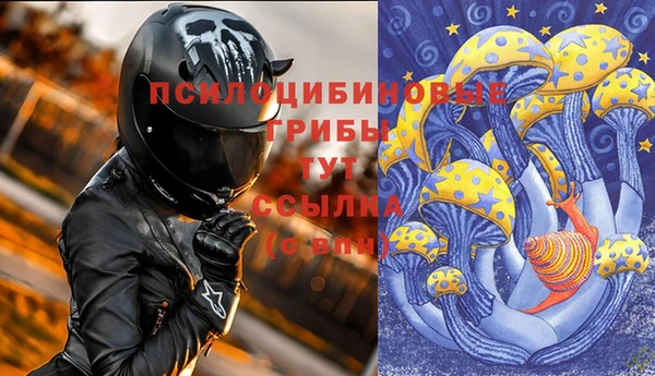 дживик Алексин